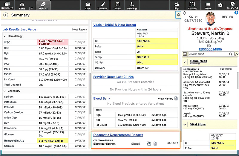 MEDITECH ED chart screen shot