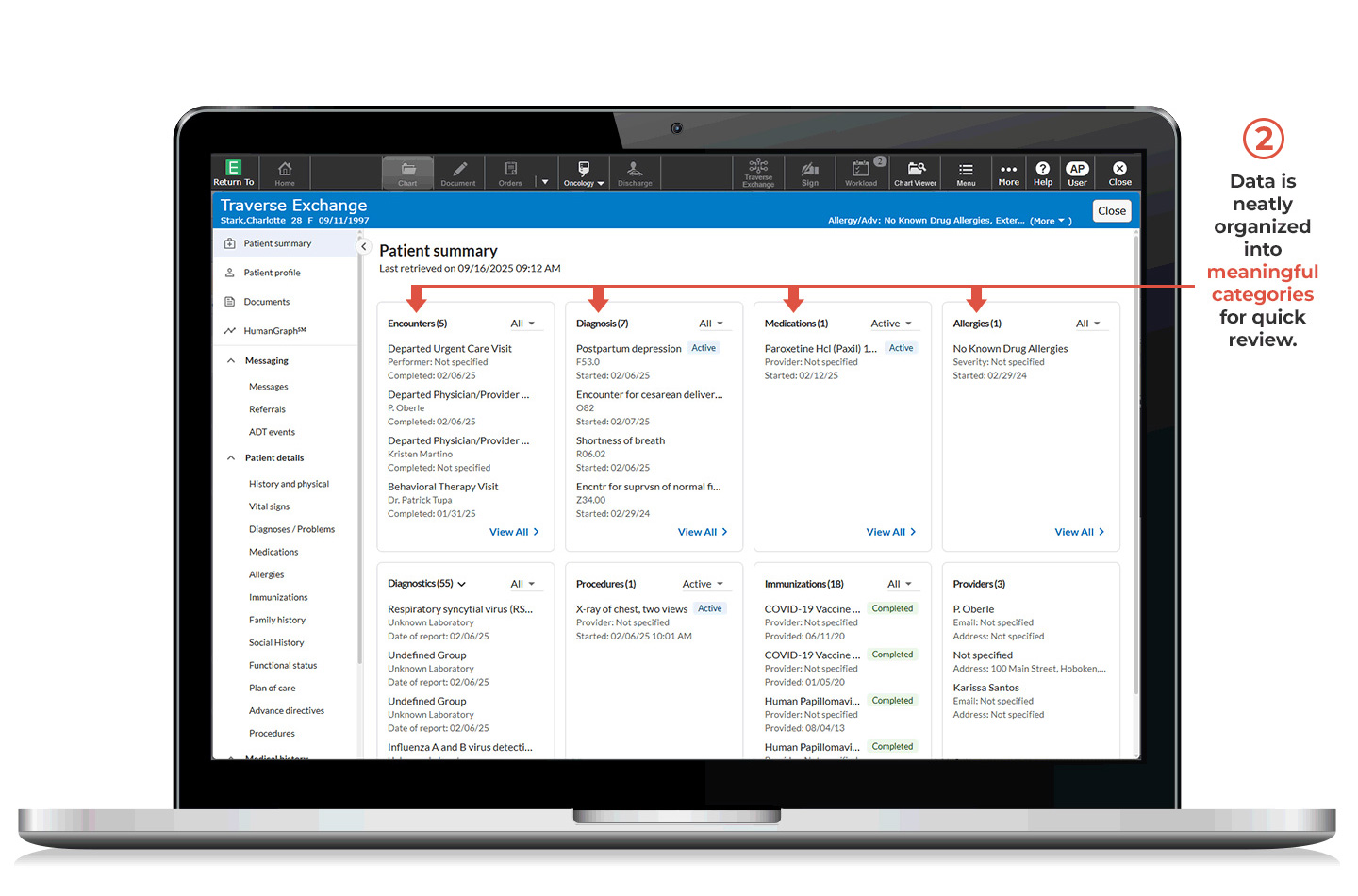 Traverse Exchange Patient Summary screen number 2 - Data is neatly organized into meaningful categories for quick review