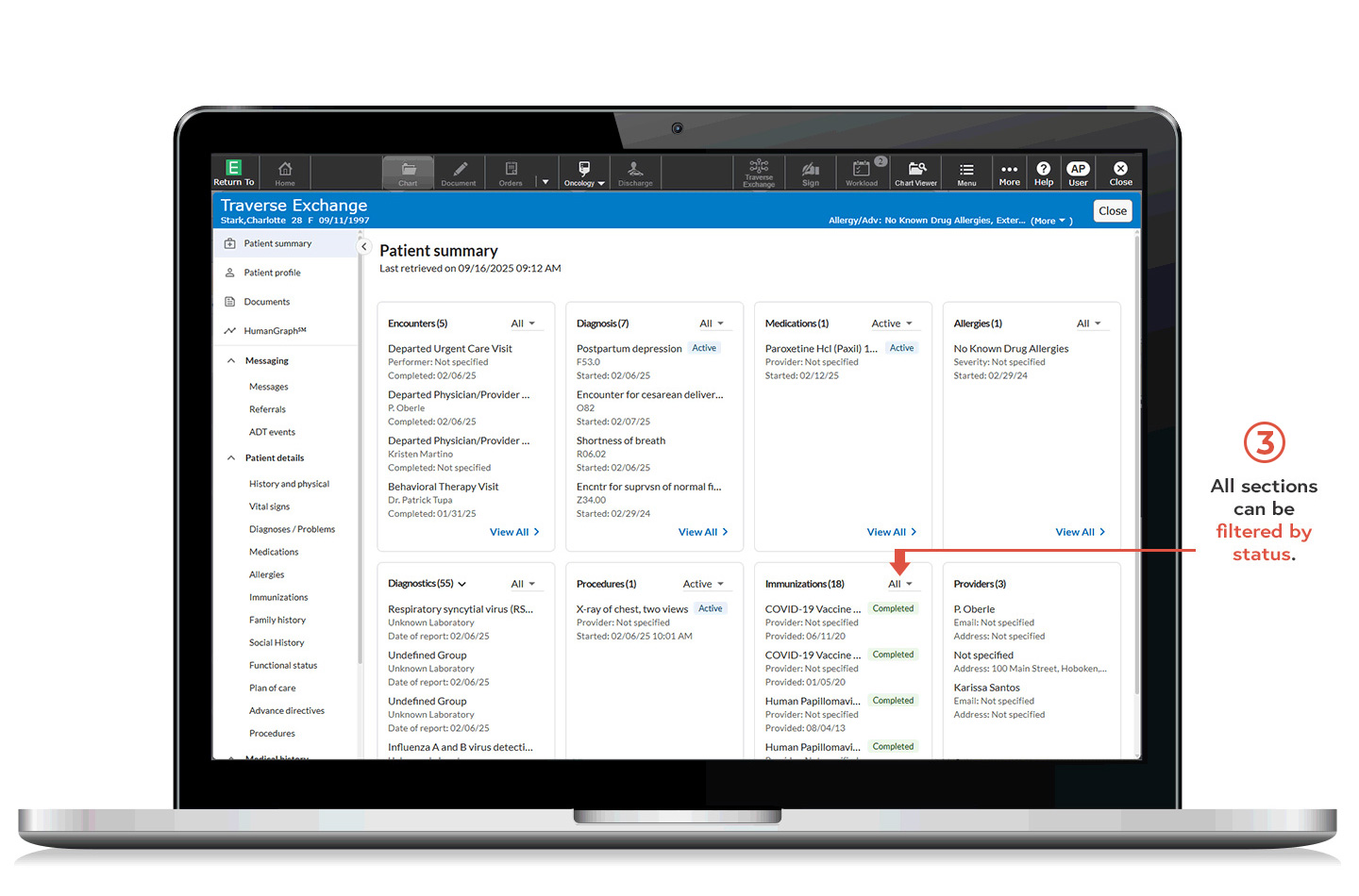 Traverse Exchange Patient Summary screen number 3 - All sections can be filtered by status