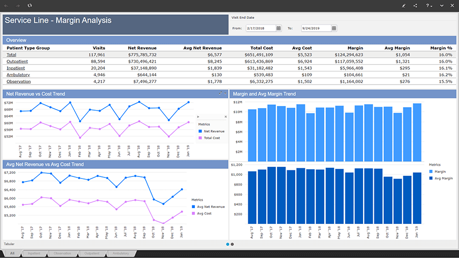 BCA Service Line Margin Analysis screenshot