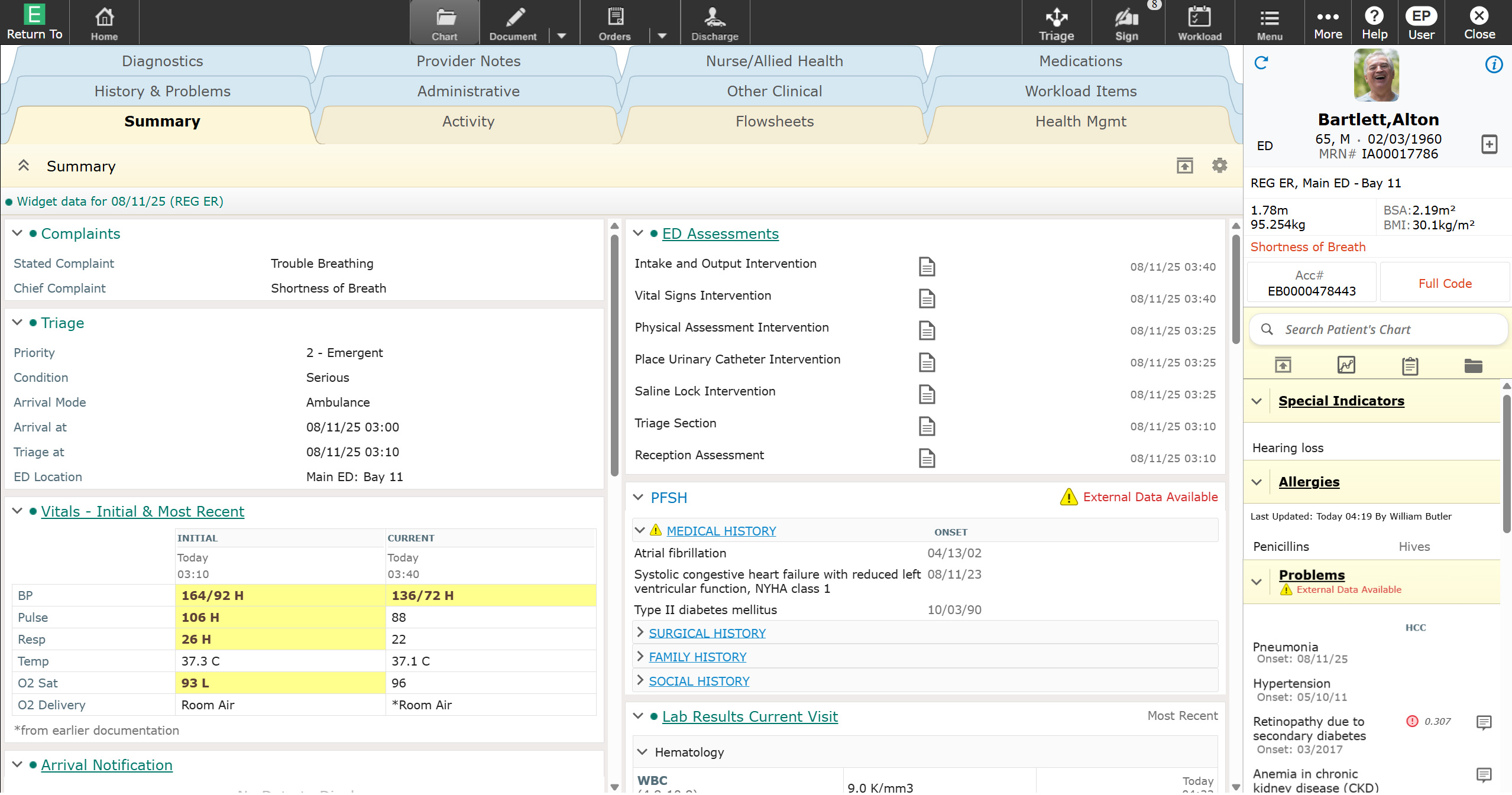 MEDITECH ED chart screen shot