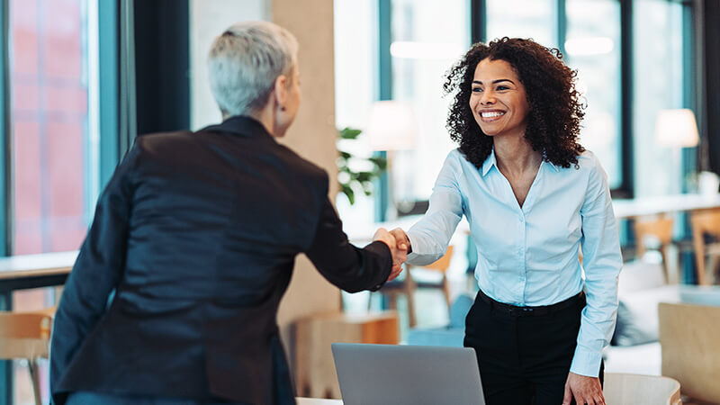 Two professionals shaking hands